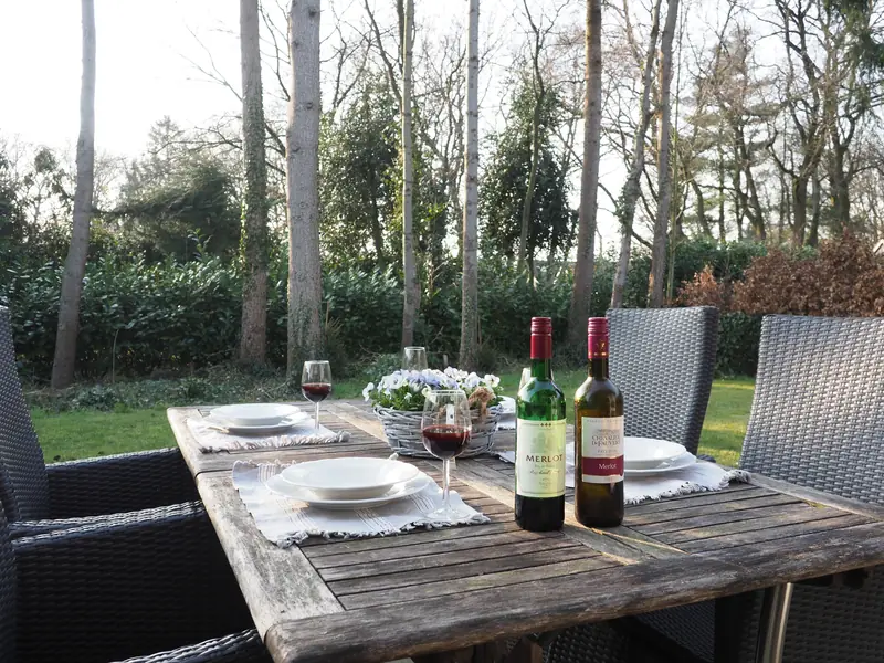 De gedekte tafel op het terras van huisje&nbsp;3, met de tuin en hoge bomen erachter.
