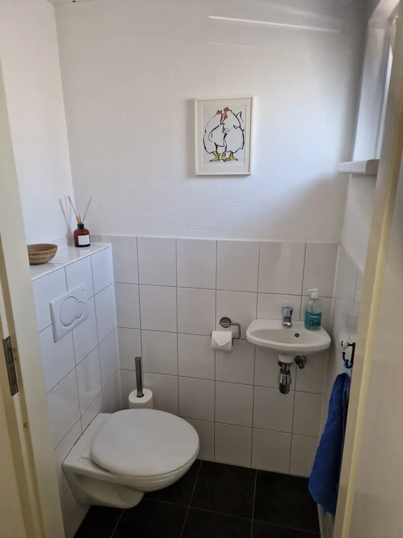 Het aparte toilet van huisje&nbsp;3, met een klein fonteintje.
