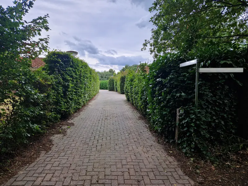 De bestrate inrit het hofje in, tussen twee hoge hagen.