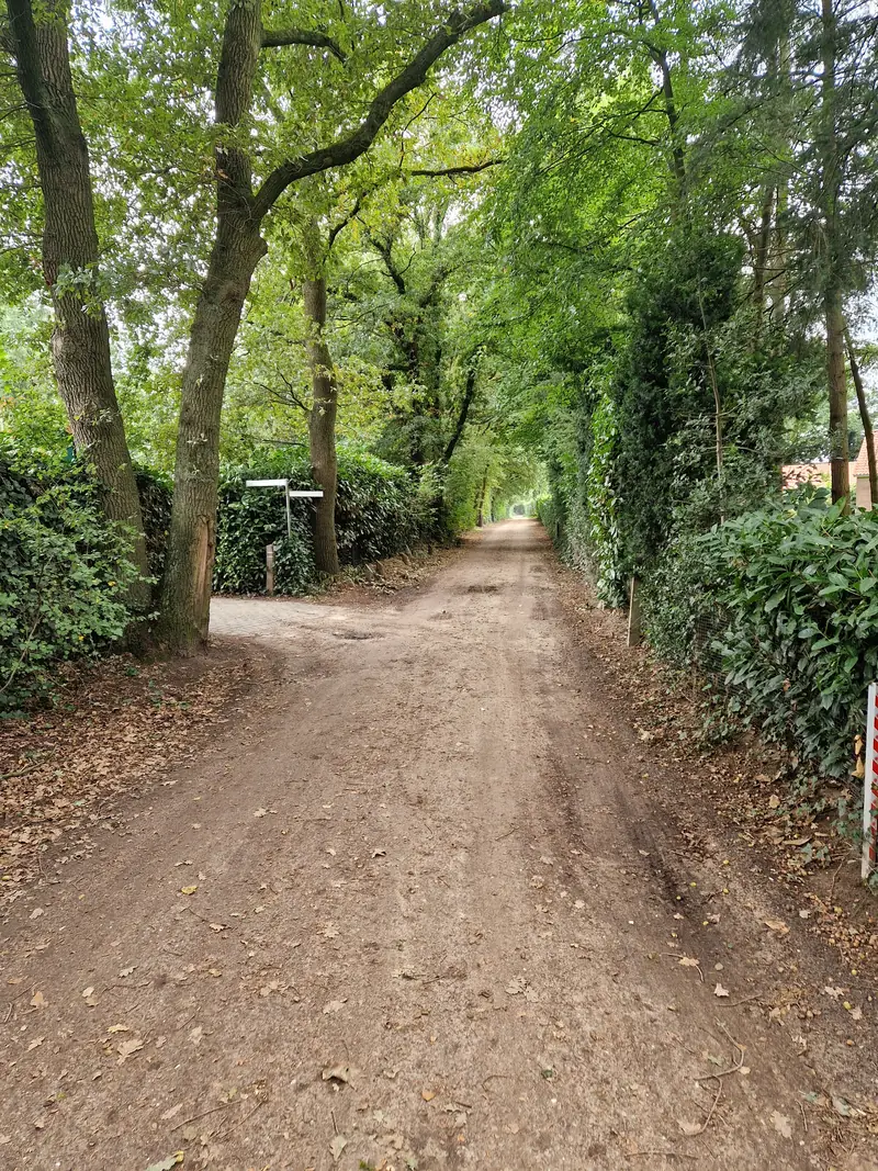 Een zandweg onder hoge bomen, met links de inrit naar het hofje.